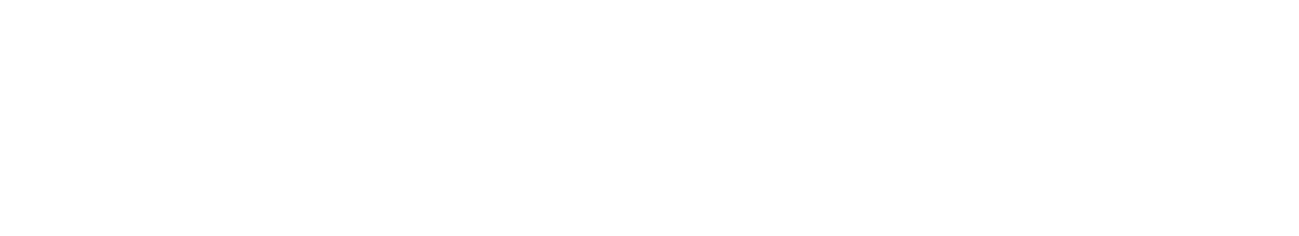Logo Transport Bourassa