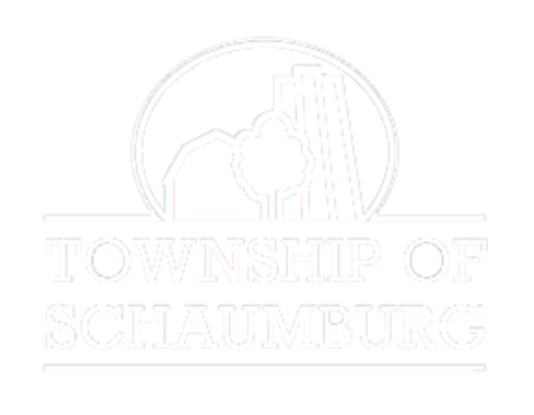 Township of schaumburg Polara